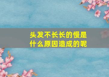 头发不长长的慢是什么原因造成的呢