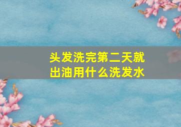 头发洗完第二天就出油用什么洗发水