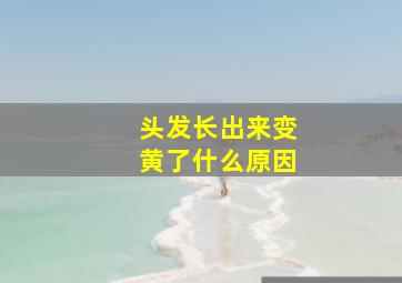 头发长出来变黄了什么原因