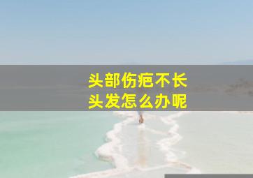 头部伤疤不长头发怎么办呢