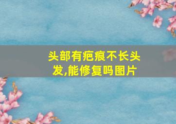 头部有疤痕不长头发,能修复吗图片