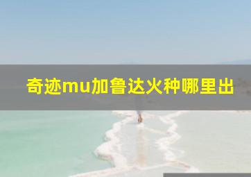 奇迹mu加鲁达火种哪里出