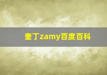 奎丁zamy百度百科