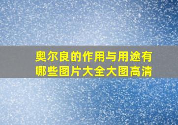 奥尔良的作用与用途有哪些图片大全大图高清