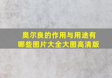 奥尔良的作用与用途有哪些图片大全大图高清版