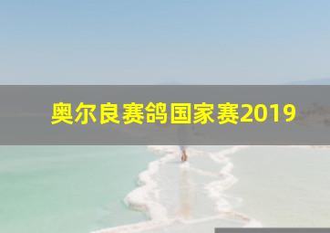 奥尔良赛鸽国家赛2019