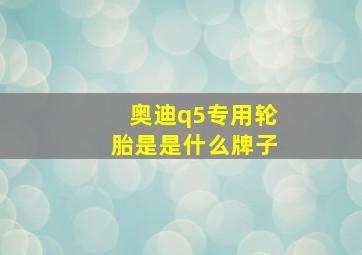 奥迪q5专用轮胎是是什么牌子