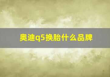 奥迪q5换胎什么品牌