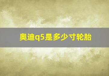 奥迪q5是多少寸轮胎