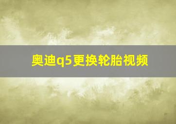 奥迪q5更换轮胎视频