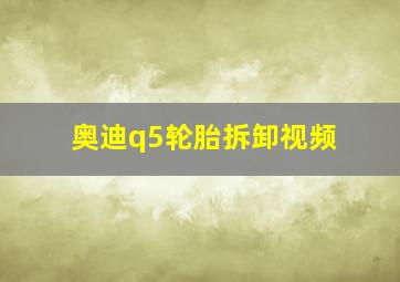 奥迪q5轮胎拆卸视频