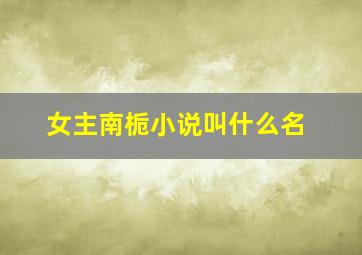 女主南栀小说叫什么名