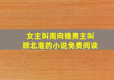 女主叫南向晚男主叫顾北淮的小说免费阅读