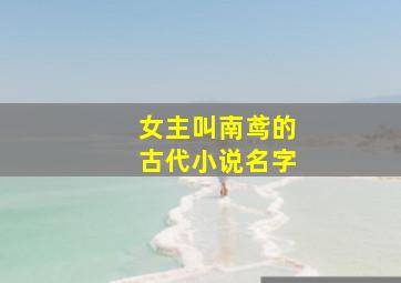 女主叫南鸢的古代小说名字