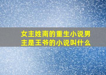 女主姓南的重生小说男主是王爷的小说叫什么