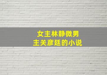 女主林静微男主关彦廷的小说