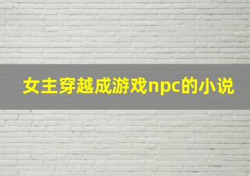 女主穿越成游戏npc的小说