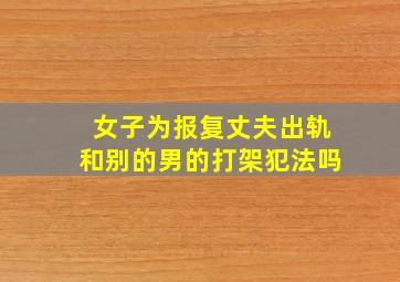 女子为报复丈夫出轨和别的男的打架犯法吗