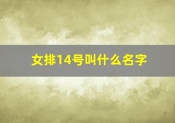 女排14号叫什么名字