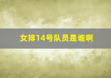 女排14号队员是谁啊