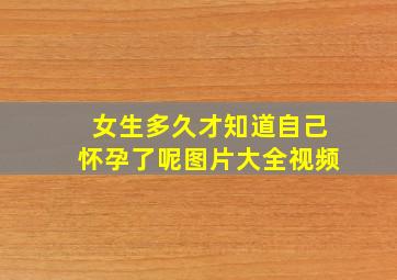 女生多久才知道自己怀孕了呢图片大全视频