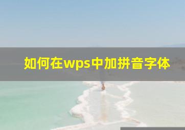 如何在wps中加拼音字体