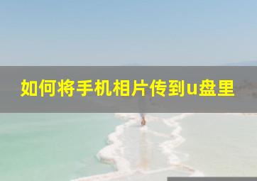 如何将手机相片传到u盘里