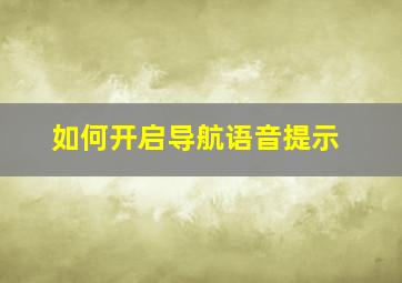 如何开启导航语音提示