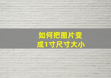 如何把图片变成1寸尺寸大小