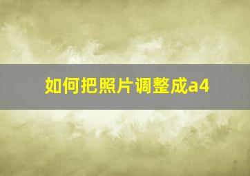 如何把照片调整成a4