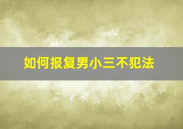 如何报复男小三不犯法