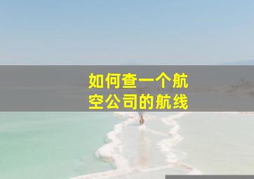 如何查一个航空公司的航线