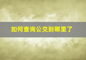 如何查询公交到哪里了