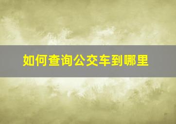 如何查询公交车到哪里