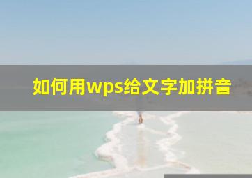 如何用wps给文字加拼音