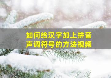 如何给汉字加上拼音声调符号的方法视频