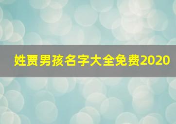 姓贾男孩名字大全免费2020