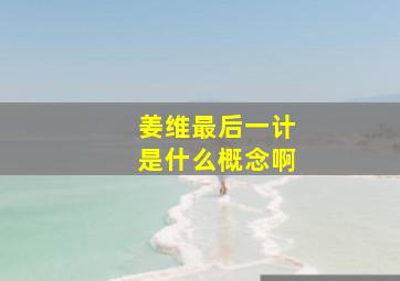 姜维最后一计是什么概念啊