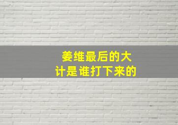 姜维最后的大计是谁打下来的