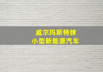 威尔玛斯特牌小型新能源汽车