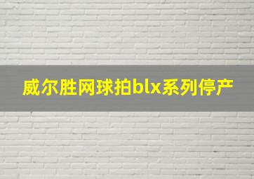 威尔胜网球拍blx系列停产