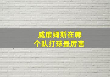 威廉姆斯在哪个队打球最厉害