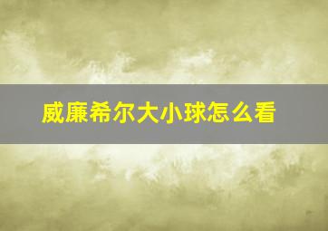 威廉希尔大小球怎么看