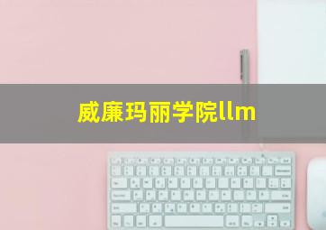 威廉玛丽学院llm