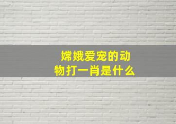 嫦娥爱宠的动物打一肖是什么