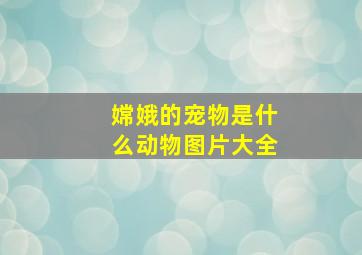 嫦娥的宠物是什么动物图片大全