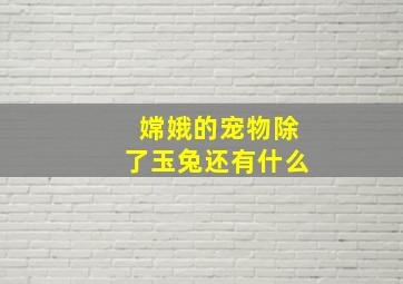 嫦娥的宠物除了玉兔还有什么