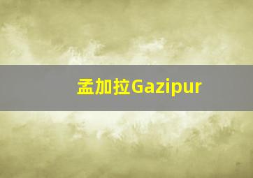 孟加拉Gazipur