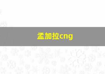 孟加拉cng