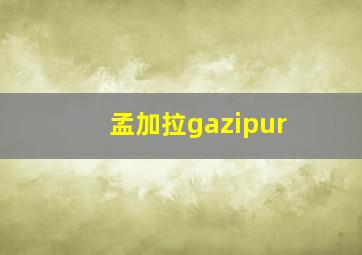 孟加拉gazipur